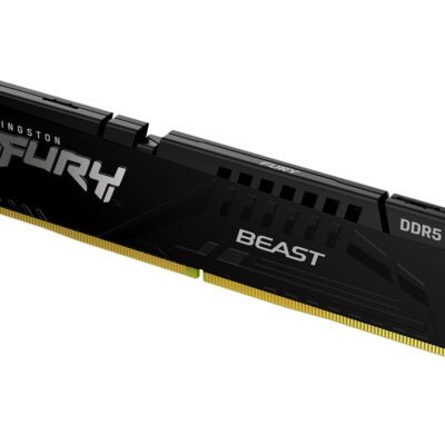 Kingston FURY Beast - DDR5 - módulo - 16 GB - DIMM de 288 contactos - 5600 MT/s / PC5-44800 - CL36 - 1.25 V - sin búfer - on-die ECC - negro