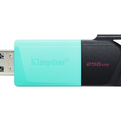 Kingston DataTraveler Exodia M - Unidad flash USB - 256 GB - USB 3.2 Gen 1